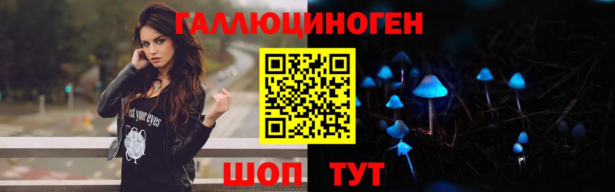 что такое   Вход с VPN  Ессентуки  Галлюциногенные грибы Psilocybe 